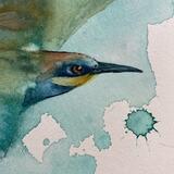 Hunters- bee eaters detail