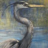 Big Grey Heron