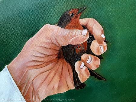 Bird in the Hand 