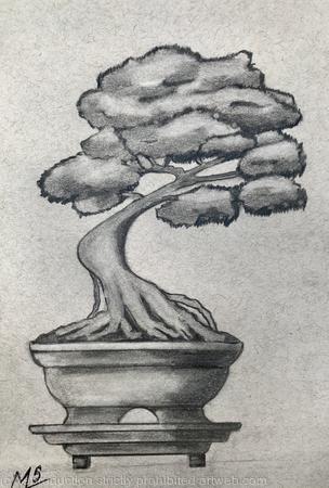 Steadiness through Change