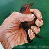 Bird in the Hand 