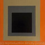 Homage to the Square