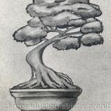 Steadiness through Change