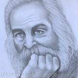 Walt Whitman by Margot Stinton