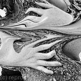 “Hug Fest”. Limited Edition of 1