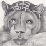  Jaguar - 'A moment to myself' by Margot Stinton