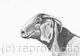 Pencil Drawing 'Alpine Goat' by Margot Stinton