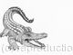 Pencil Drawing 'Alligator' by Margot Stinton