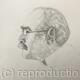 Rudyard Kipling by Margot Stinton