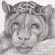 Jaguar - 'A moment to…
