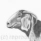 “Alpine Goat' by Margot…