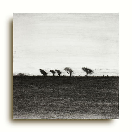 Study 5 | Landscape Drawing