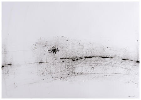 D9 | Gallery At Home