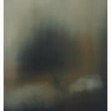 Shadow Drift |  Northcote Gallery