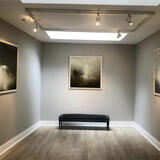 Tree Line | Cadogan Contemporary