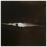 The Rise | Northcote Gallery