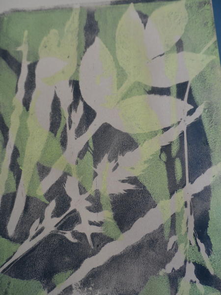 Gelli printing - nature inspired - students work