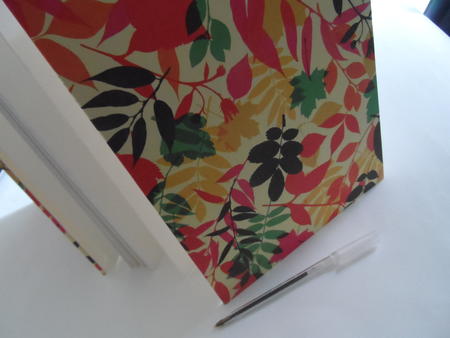 Large A4 concertina book 1 sold FM