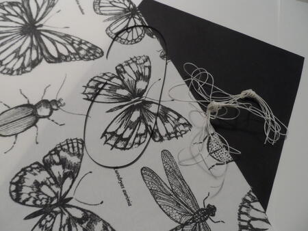 Closed spine pack 27