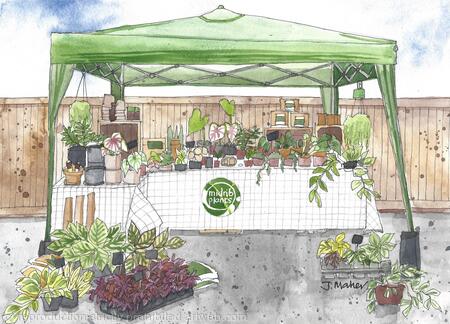 Caversham Artisan Market, Midrib Plants