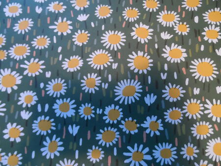 Designer Elena Boils daisies