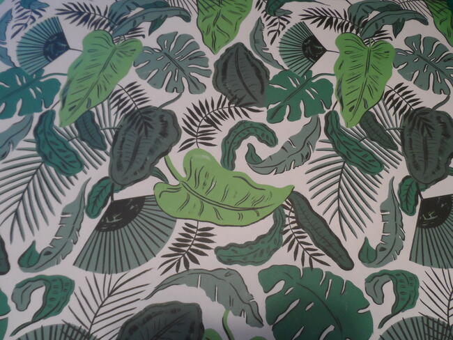 Ardington octopus Pack 5 Cynthia Kittler