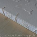 Coptic stitch plus French link stitch wedding book #1