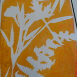 Gelli printing - nature inspired - students work