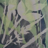 Gelli printing - nature inspired - students work
