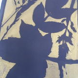 Gelli printing - nature inspired - students work