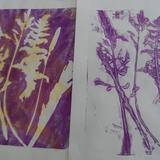 Gelli printing - Nature inspired - students work