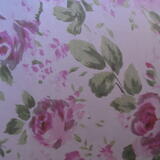 Secret Belgian refill 4 (two available)