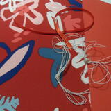 Closed spine pack 31