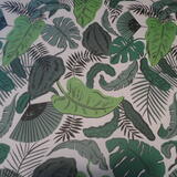 Ardington octopus Pack 5 Cynthia Kittler