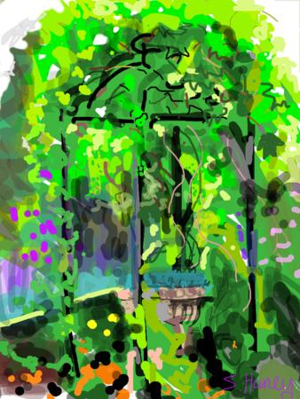 Grape Vine at Crook Hall Gardens