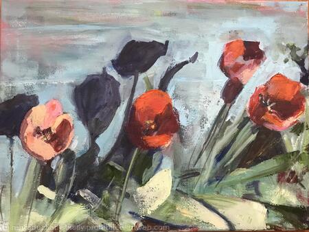 Tulips 
