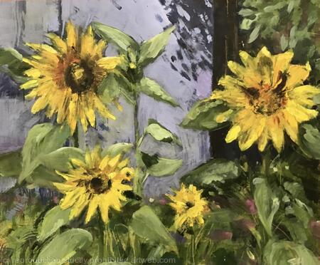 Sunflowers & Shed 2