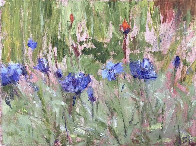 Cornflowers Study