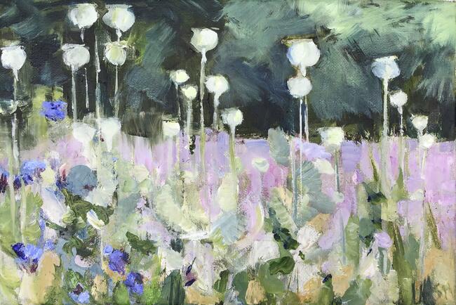 Poppy Heads