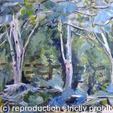 Birch and Pine Grove