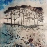 Alnmouth Copse