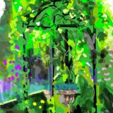 Grape Vine at Crook Hall Gardens