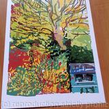 Back garden in autumn