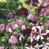 Petunias in the Rain