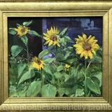 Sunflowers & Shed