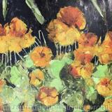 Nasturtiums 