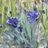 Cornflowers Study 2