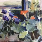 Cornflower,nasturtium,poppy