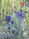 Cornflowers Study 2