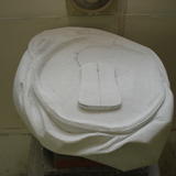 developing the ring pull